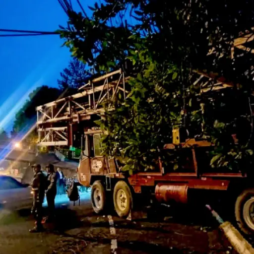 Foto: PMT capitalina/Montejo