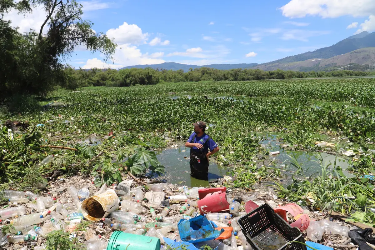 El pasado 4 de julio se desarrolló una actividad similar en el Lago de Amatitlán. Foto: AMSA.