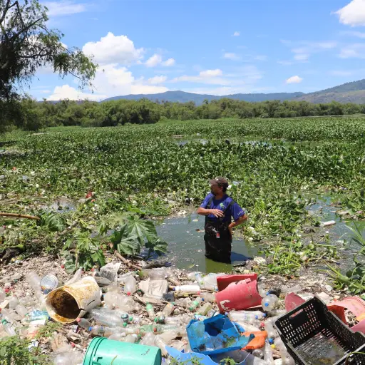 Limpieza-del-Lago-de-Amatitlan.jpg ,Archivo.