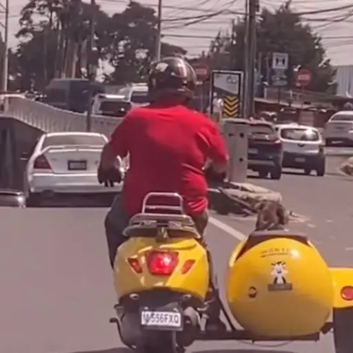 Captura de pantalla video. 