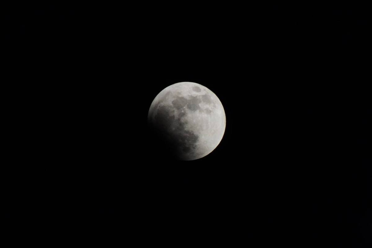 Dónde y a qué hora ver el eclipse lunar total del 3 de marzo de 2026