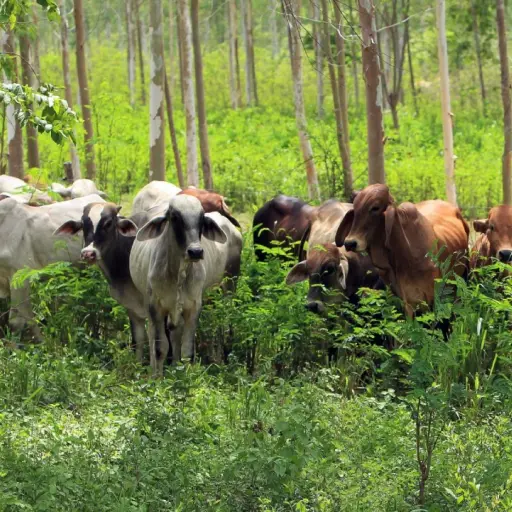 Foto ilustrativa de archivo: EFE