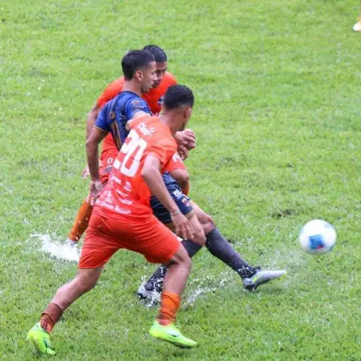 Foto: Luis Martínez 