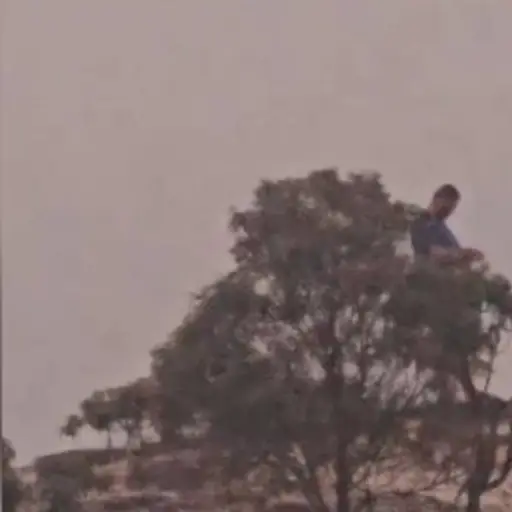 Captura de pantalla video TikTok.