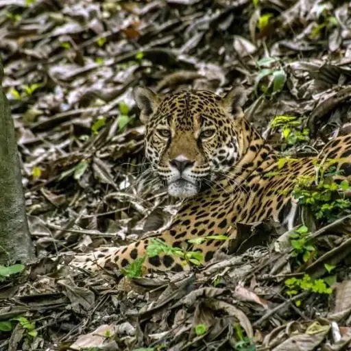 Foto Embajada de Estados Unidos en Guatemala