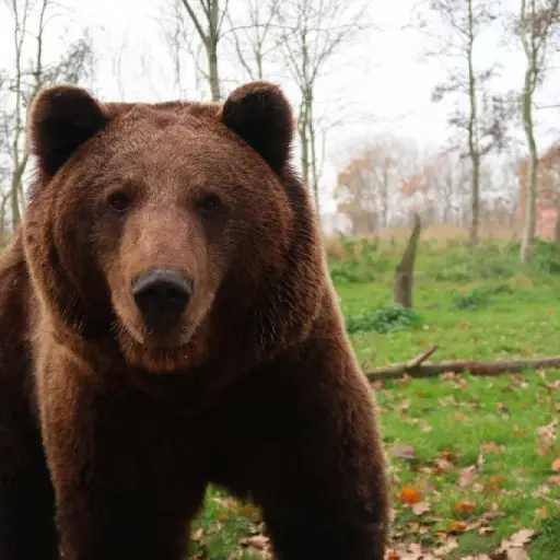 Imagen con fines ilustrativos | pixabay