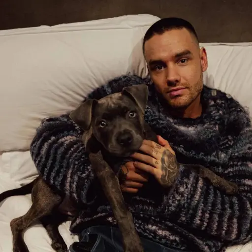 Liam Payne One Direction ,