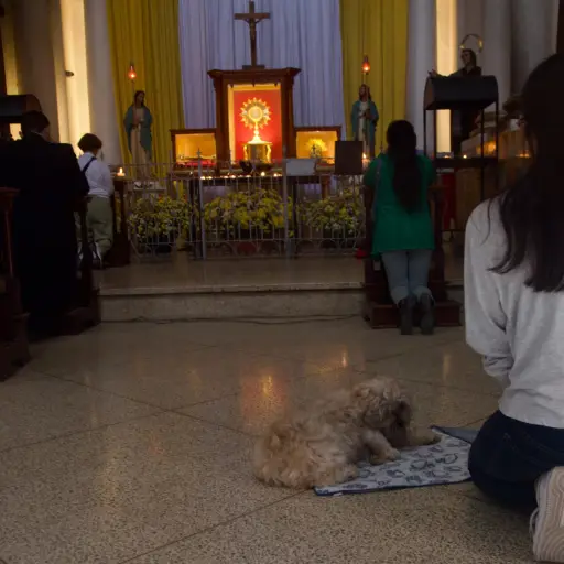 Foto: Omar Solís/EU