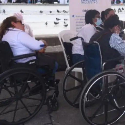 Feria del empleo personas con discapacidad ,