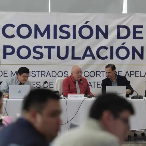 Postuladora requerimiento MP ,