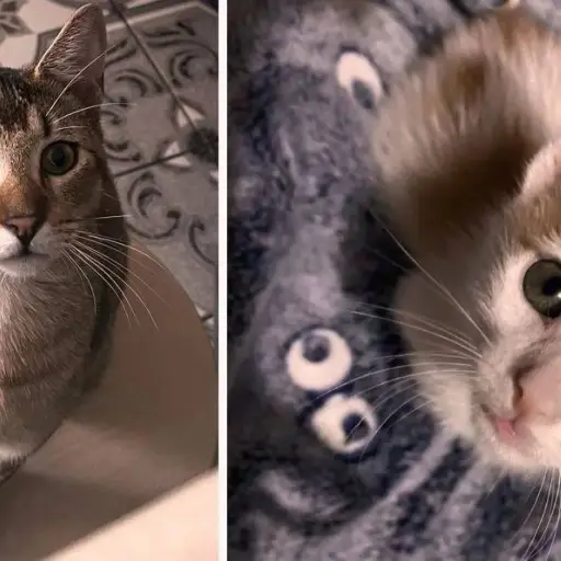 Fotos: Sandy Sandoval / Emisoras Unidas