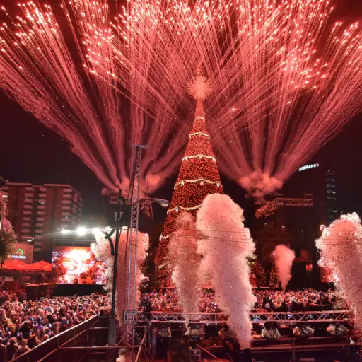 Las fiestas de Navidad quedaron oficialmente inauguradas con el encendido del Árbol Gallo 2024. Foto: EUDigital. 