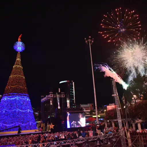 Árbol Gallo 2024 17-11-2024 (9) ,