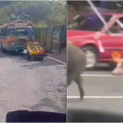 escenas-inusuales-carreteras-de-guatemala-noviembre-2024 ,