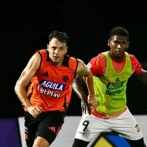 Foto: @FCFSeleccionCol