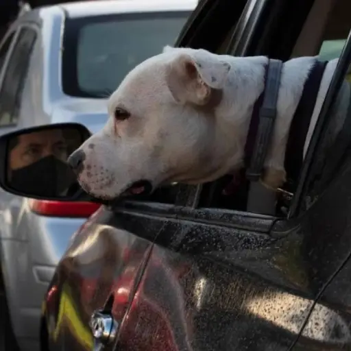 Imagen con fines ilustrativos 