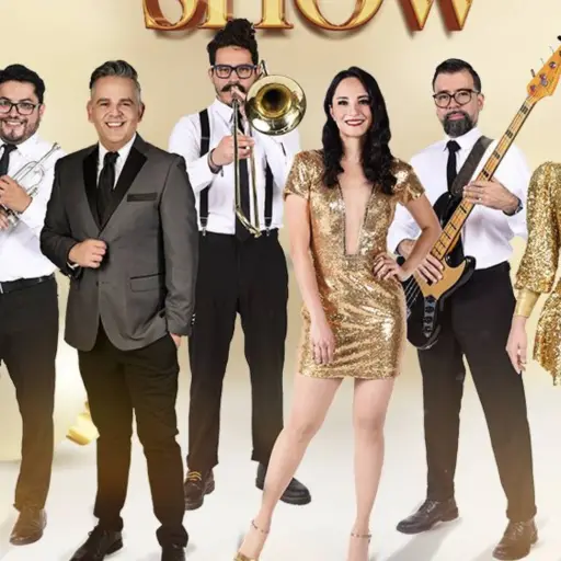 Christmas Spectacular Show ,