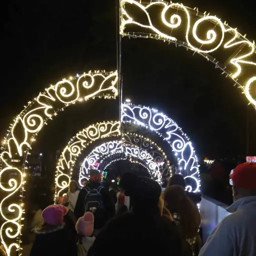 Más de 300 estructuras llenan de magia, luz y emoción los 10 puntos de iluminación en el área de cobertura de EEGSA. Foto: Álex Meoño. 