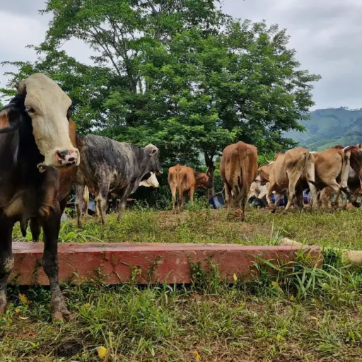 Foto: Ministerio de Agricultura