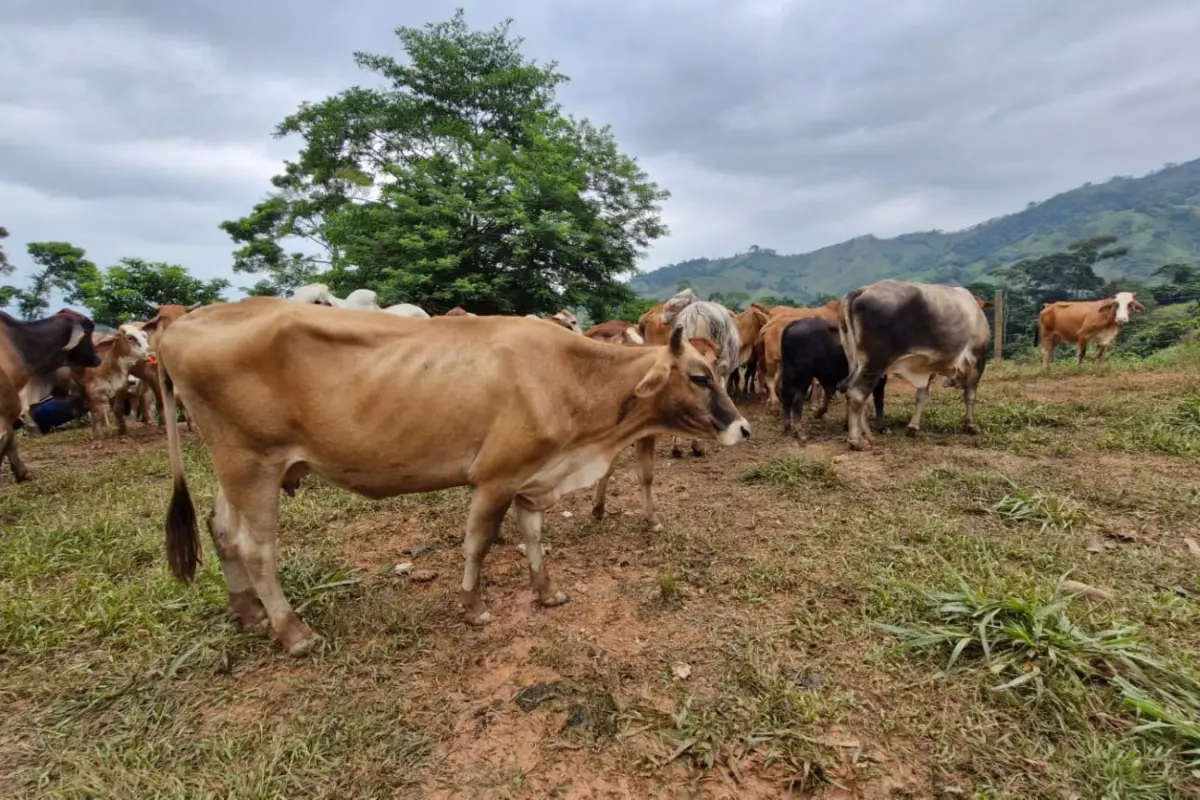Foto: Ministerio de Agricultura