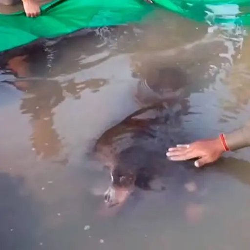 Imagen con fines ilustrativos 