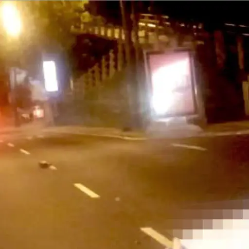 Foto: PMT capitalina