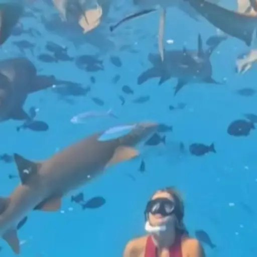 Captura de pantalla video. 