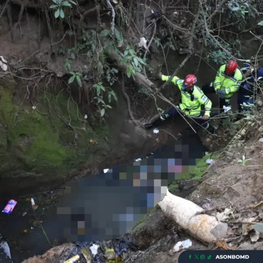 Foto: Bomberos Municipales Departamentales
