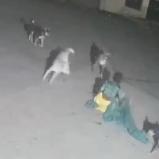 Captura de pantalla video X.