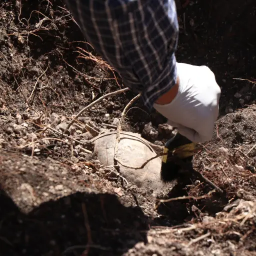 Las autoridades continúan este lunes con los trabajos de búsqueda de cementerios clandestinos vinculados al crimen organizado. ,Foto EFE