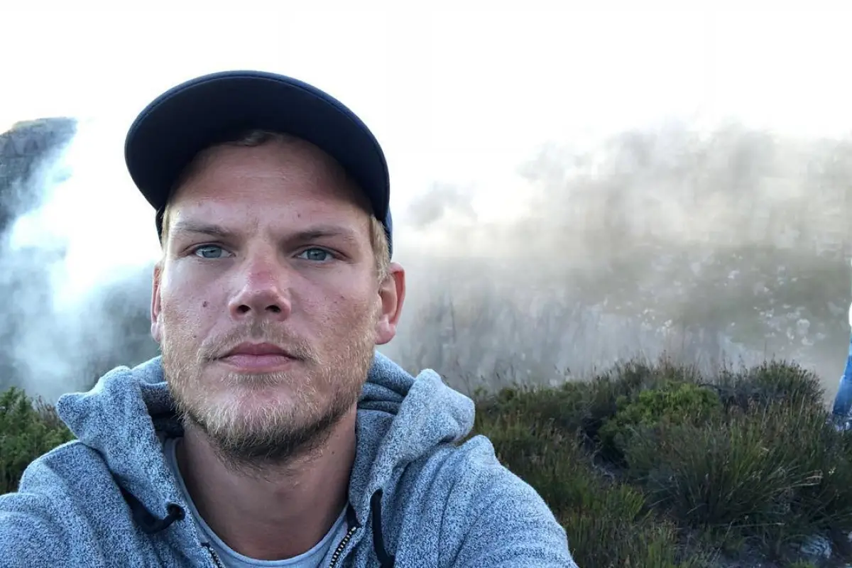 Avicii, Redes sociales