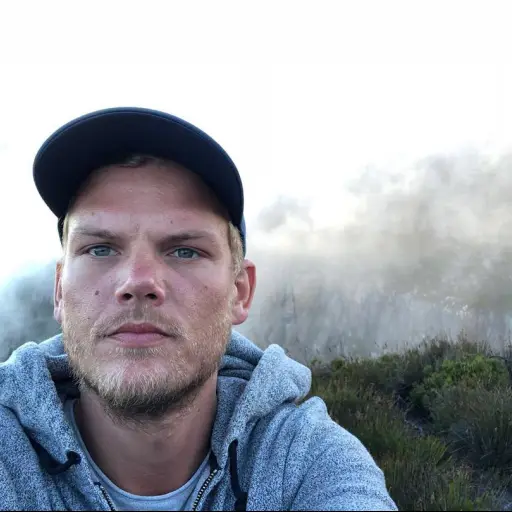Avicii ,Redes sociales