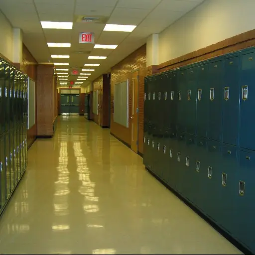 escuela, casilleros, vestíbulo, high school secundaria, educación, armario, adentro, sala, estudiantes, alumnos, aprender, aprendiendo, escuela, escuela, escuela, escuela, escuela, alumnos, alumnos, alumnos ,Pixabay