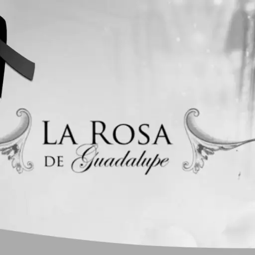 Muere Amparo Garrido, reconocida actriz mexicana ,Redes sociales.