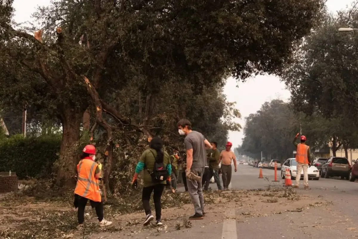 Jornaleros indocumentados limpian tras incendios en Los Ángeles., EFE.