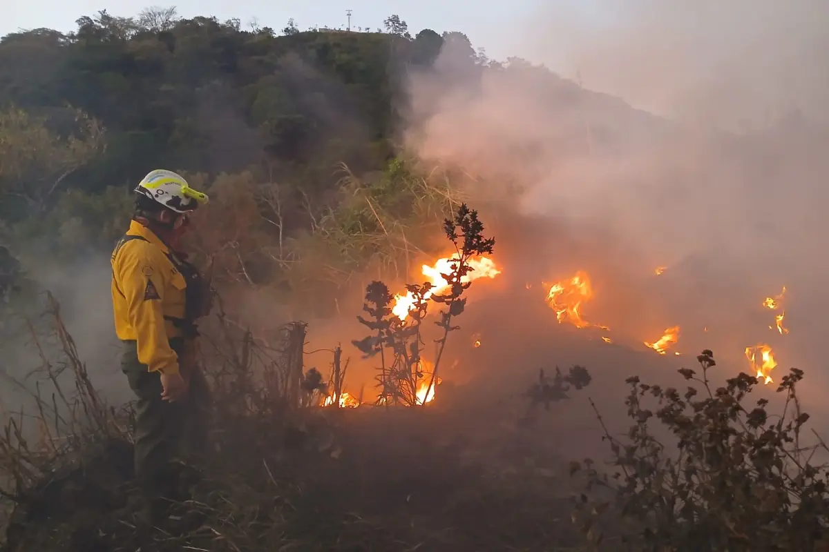 Brigadas de rescate también apagaron un incendio en carretera a El Salvador el jueves 17 de enero de 2025., Conred.