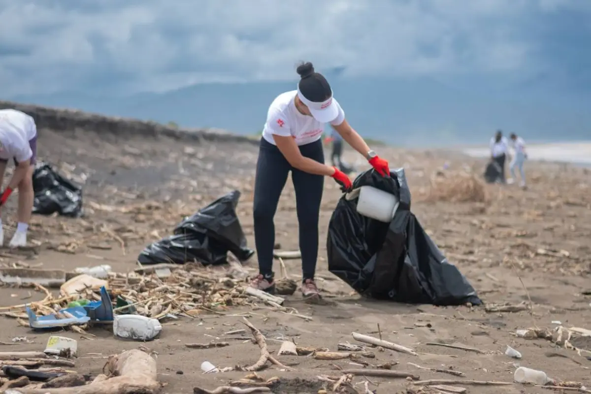 Programa Voluntariado Fundación Mapfre, Cortesía