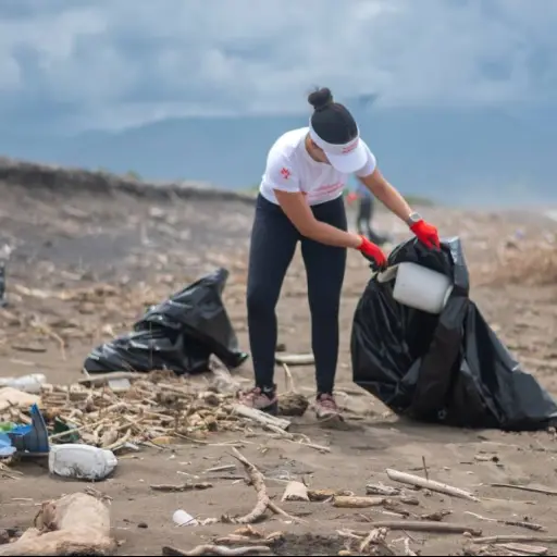 Programa Voluntariado Fundación Mapfre ,Cortesía