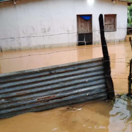 Uno de los departamentos más afectados es Izabal, con 29 emergencias.  ,Conred