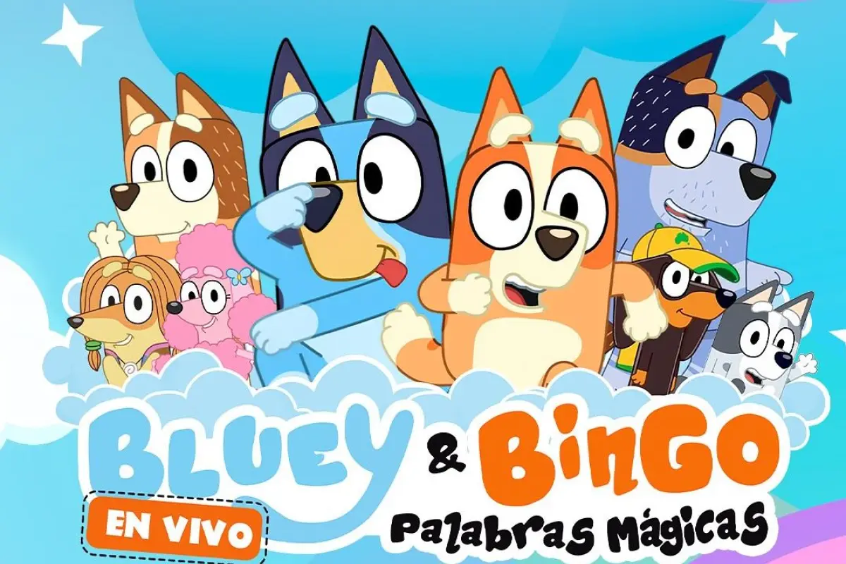 Bluey y Bingo, Redes sociales