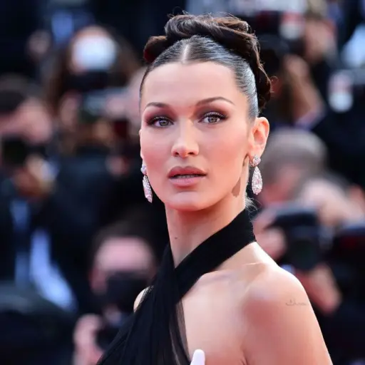 Bella Hadid ,Instagram