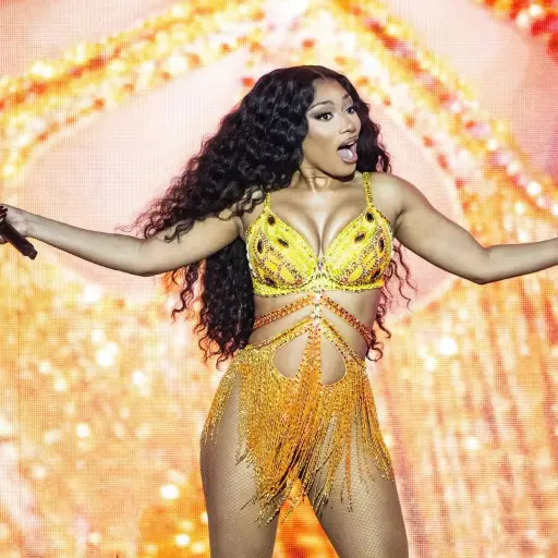 Megan Thee Stallion ,Instagram