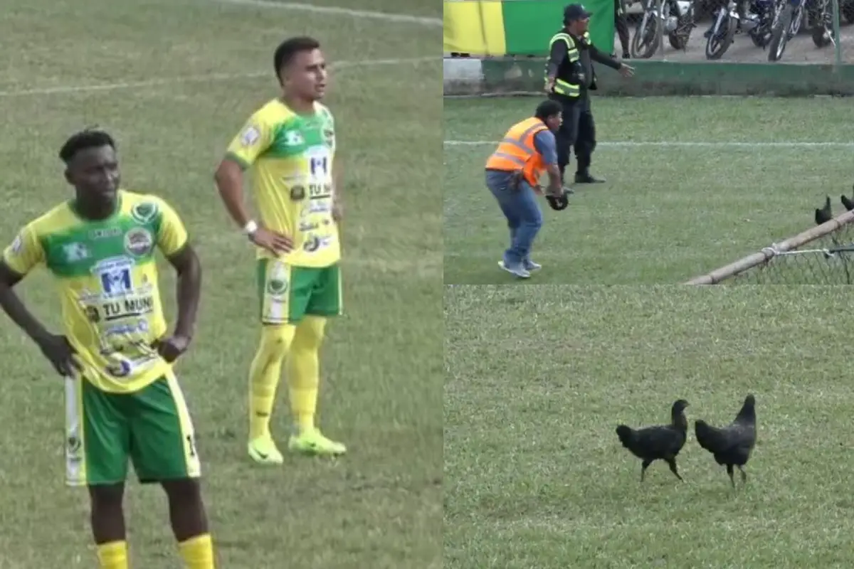 Gallinas durante el partido entre La Democracia y Coatepeque 