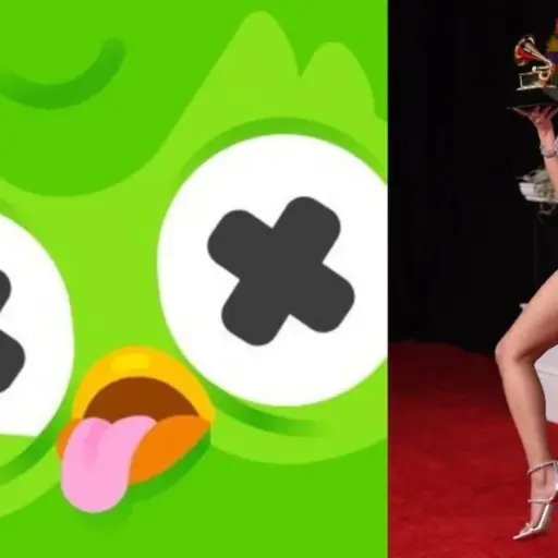 Duolingo Dua Lipa ,Redes sociales