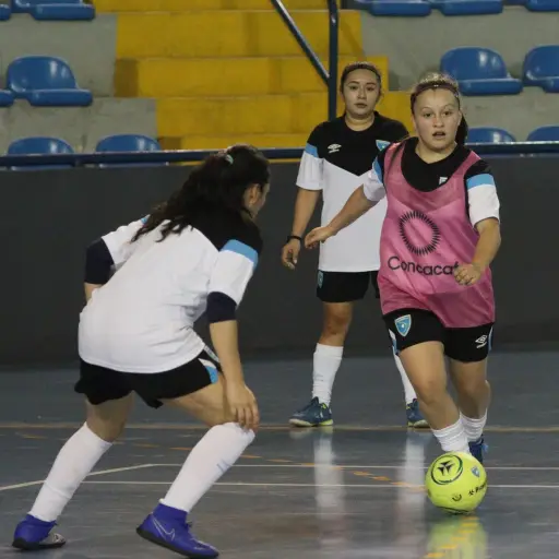 La Selección de  Guatemala femenina de futsal es dirigida por el nacional José Rafael González. 