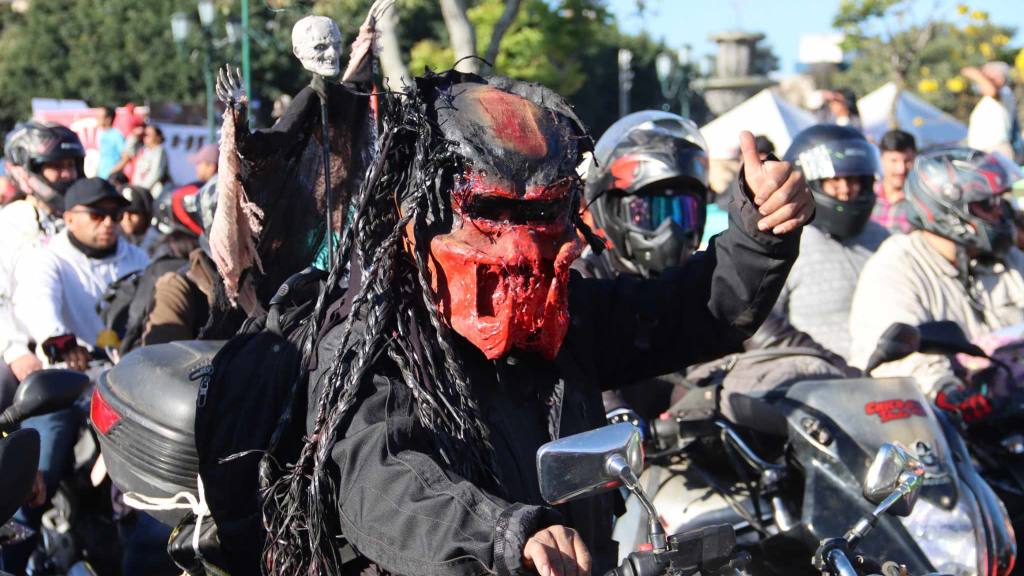 Derroche de creatividad en la Caravana del Zorro 2025 | Álex Meoño.