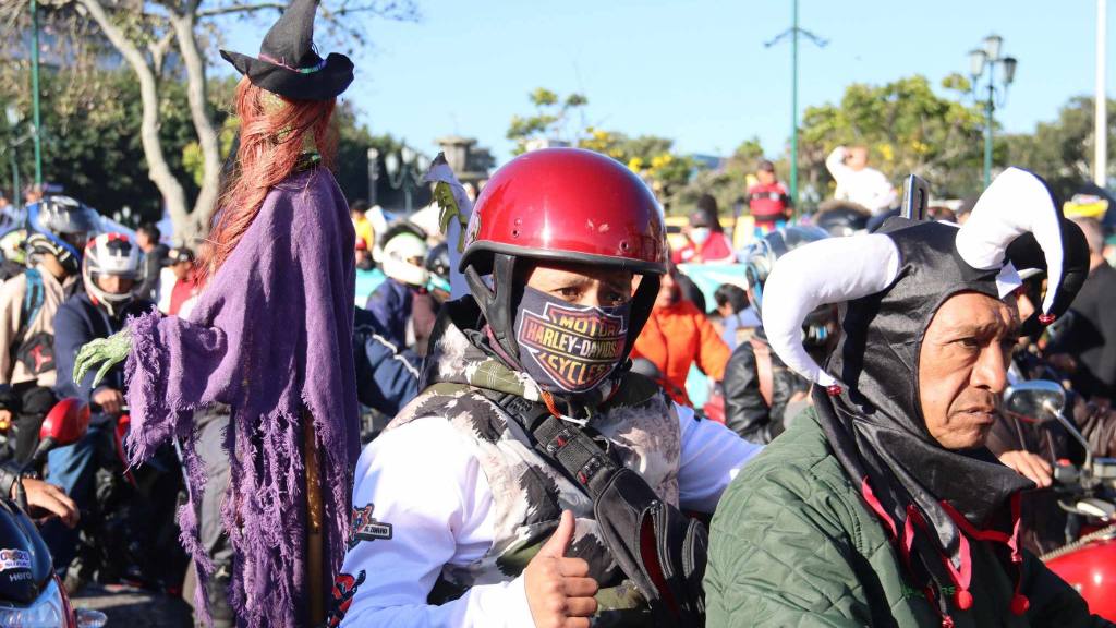 Derroche de creatividad en la Caravana del Zorro 2025 | Álex Meoño.