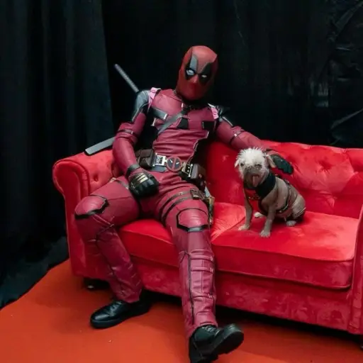 Peggy de Deadpool ,Redes sociales