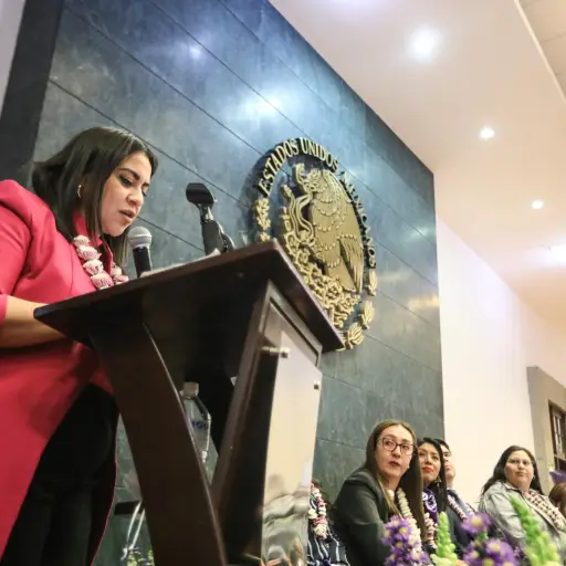 Primera Cumbre Latinoamericana de Defensoras Digitales, en México. ,Ley Olimpia/X