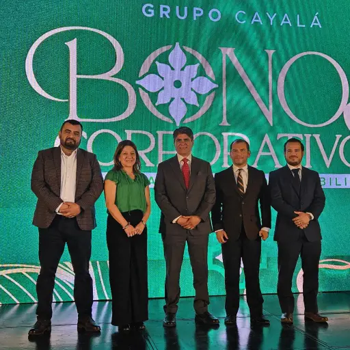 Grupo Cayalá ,Grupo Cayalá